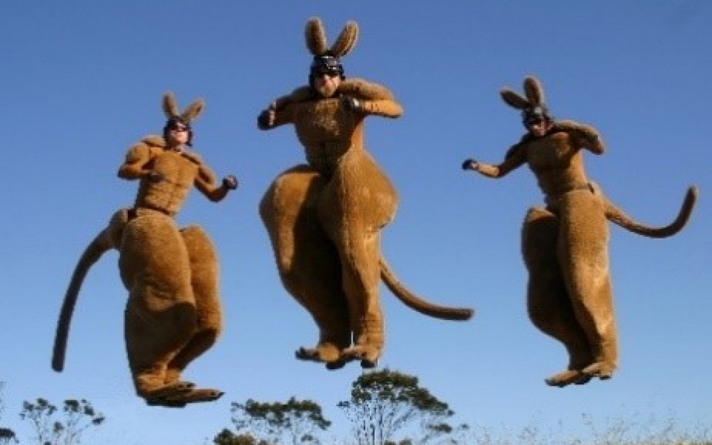 Men dressed as Kangaroos jumping