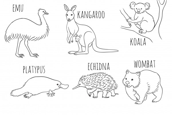 coloring pages australia