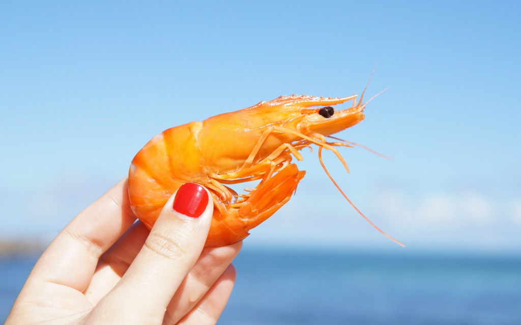Close up of person wearing red nail polish holding a prawn at the beach