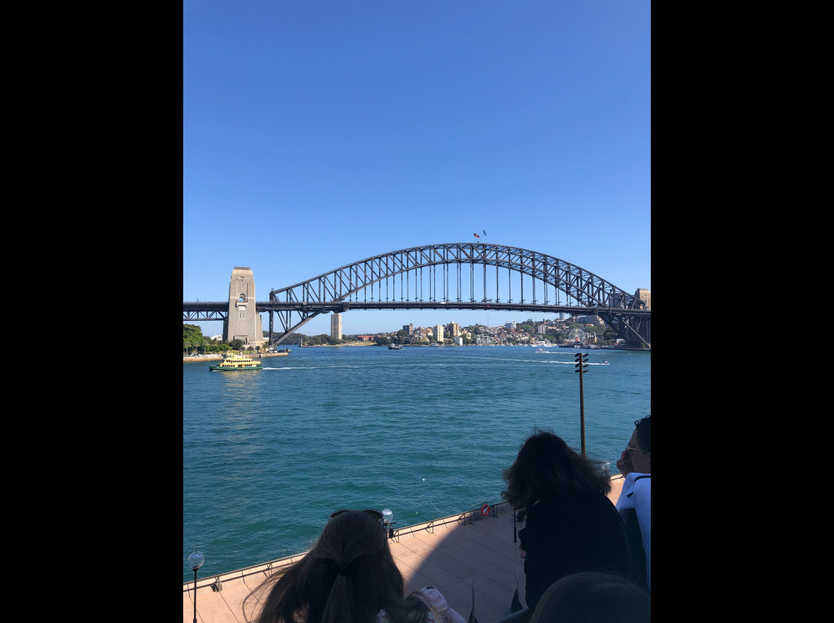IMG 0935