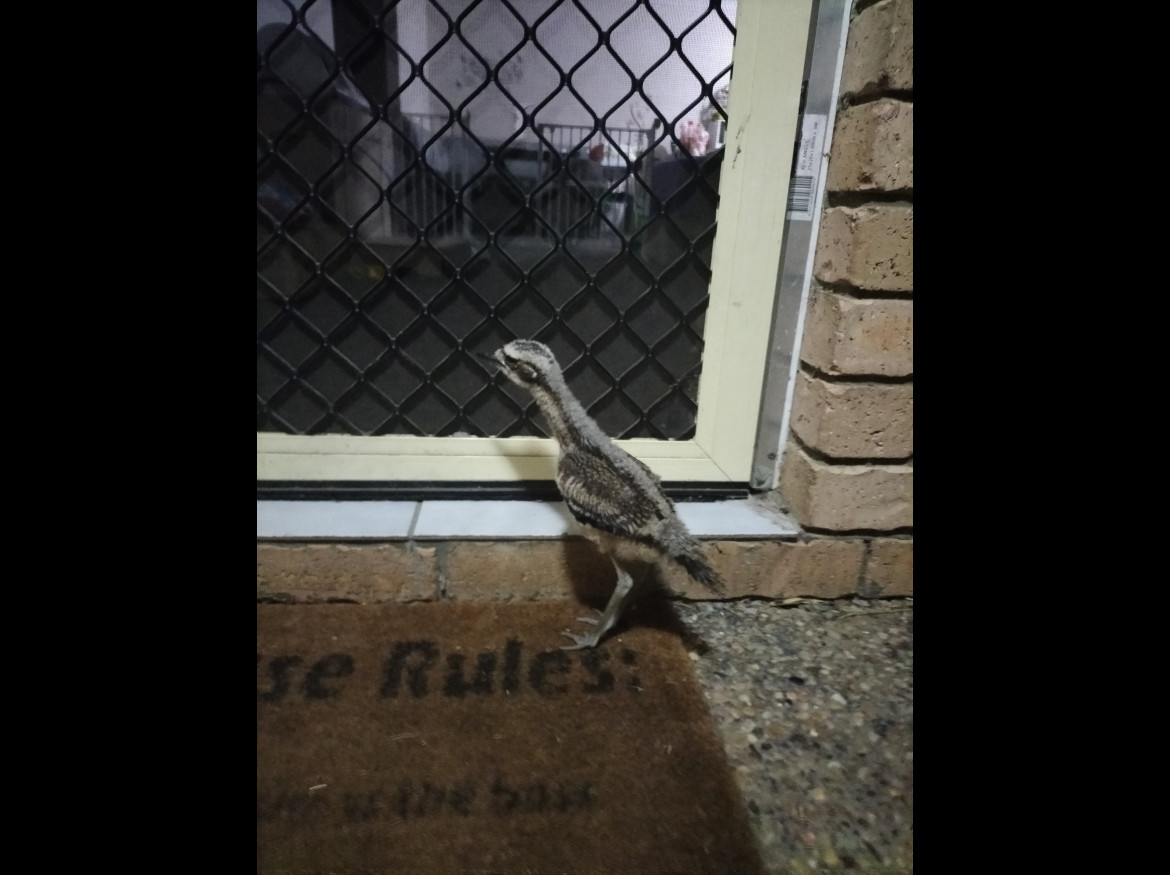 IMG20231018232755