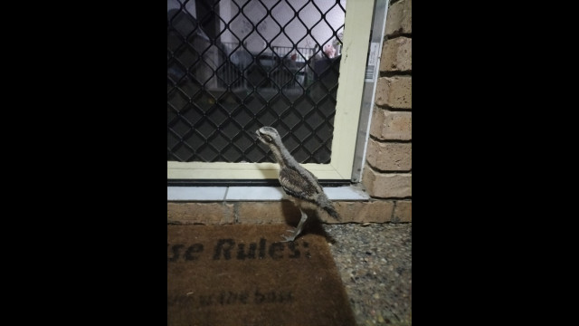 IMG20231018232755