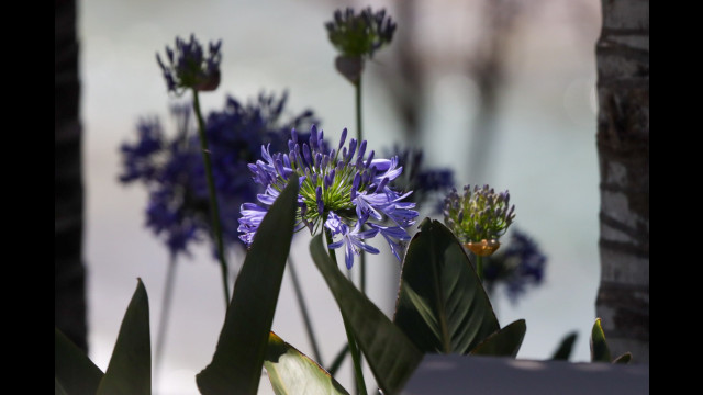 20231116012545 IMG 1523 1