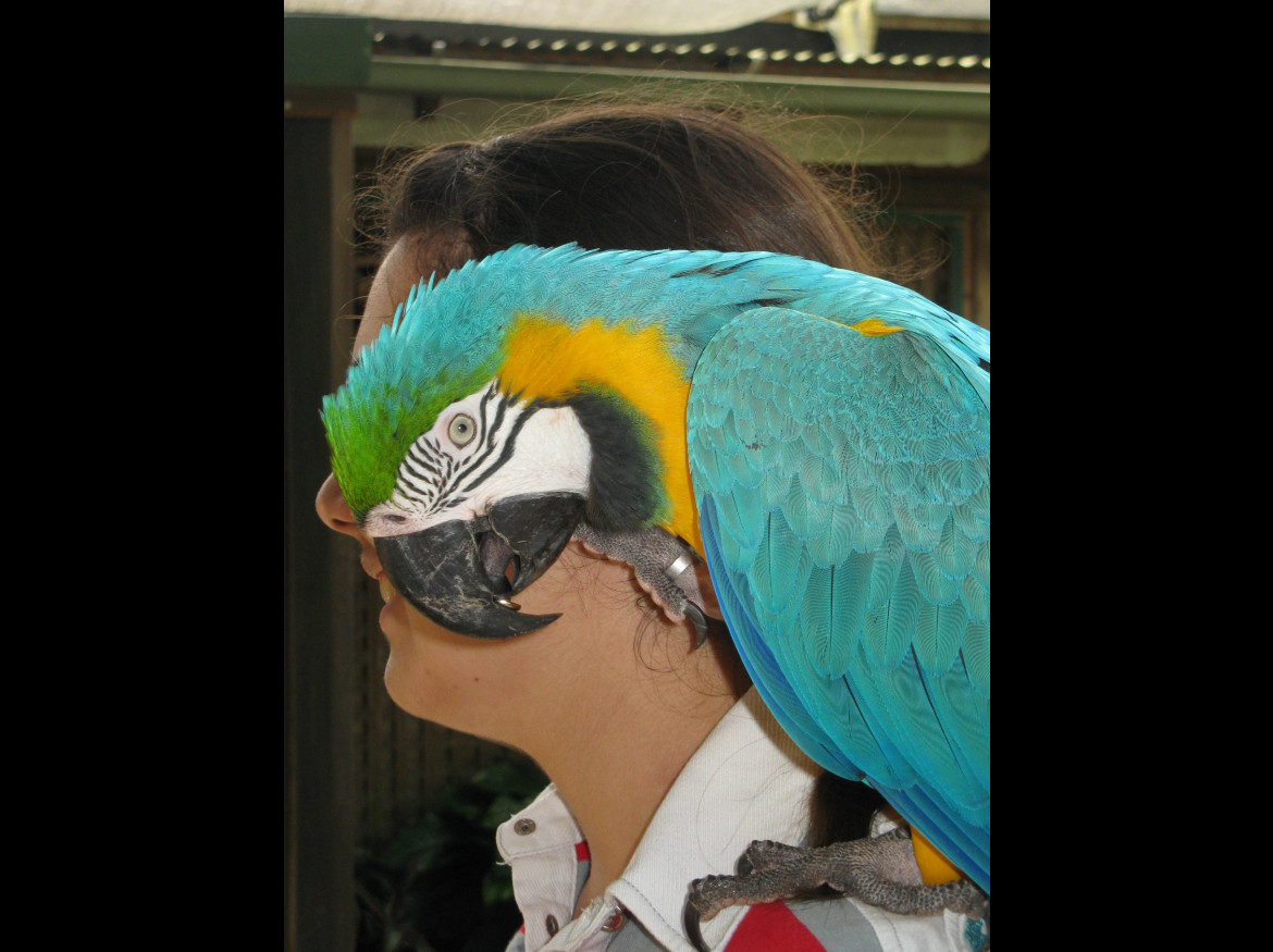IMG 0531