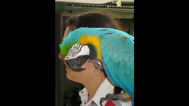 IMG 0531