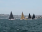 Yachts sailing during Australia Day Regatta